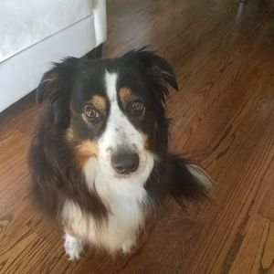 Meet your Posher, Beth